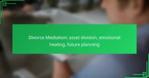 Divorce Mediation: asset division, emotional healing, future planning