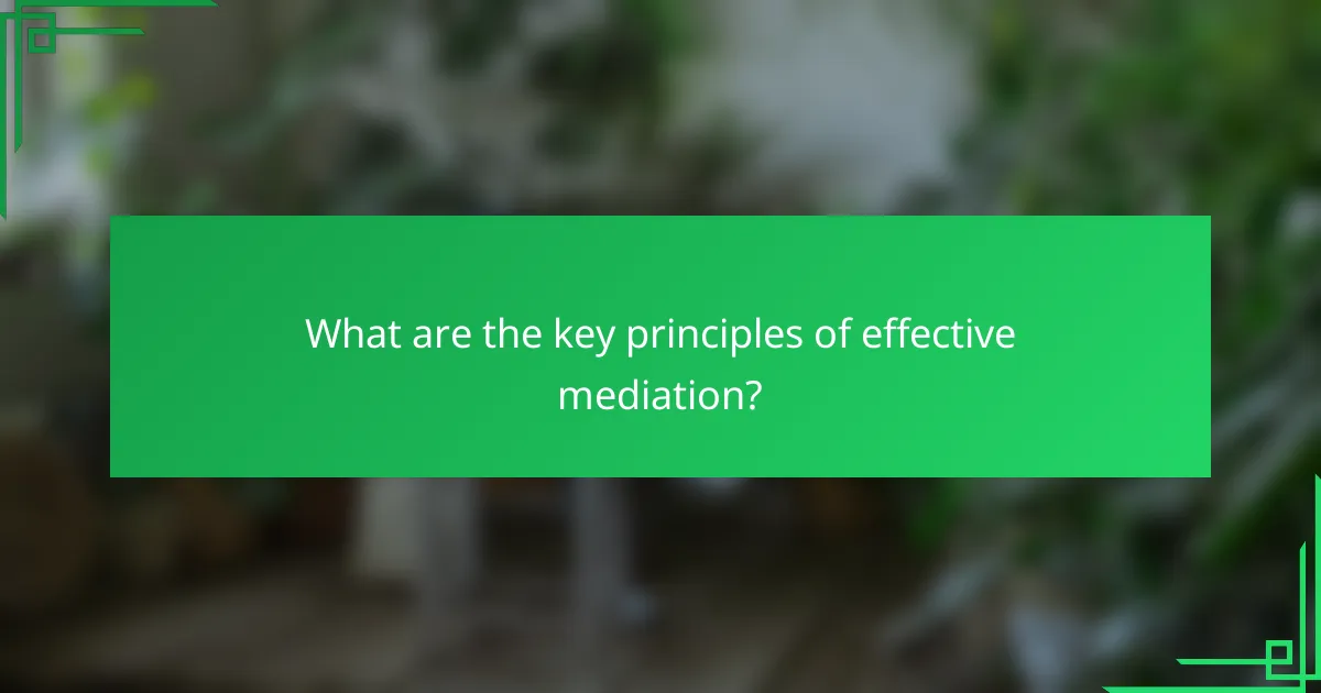 What are the key principles of effective mediation?