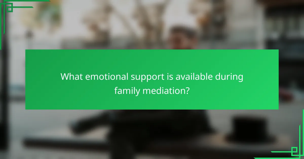 What emotional support is available during family mediation?
